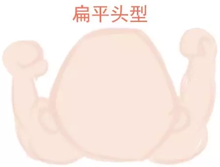 ԲͷվɱͷЩ趼֪2.webp.jpg