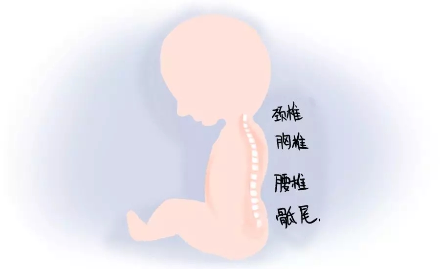 һڰʺƪһҪ1.webp.jpg